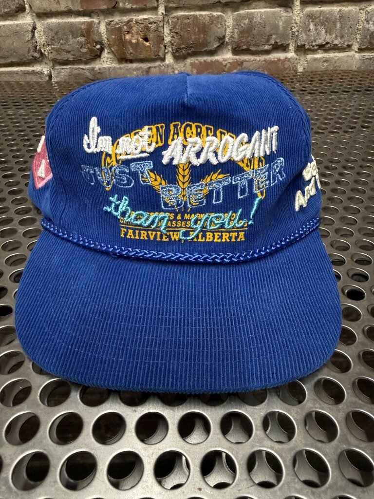 Better With Age Corduroy Strap Back Blue