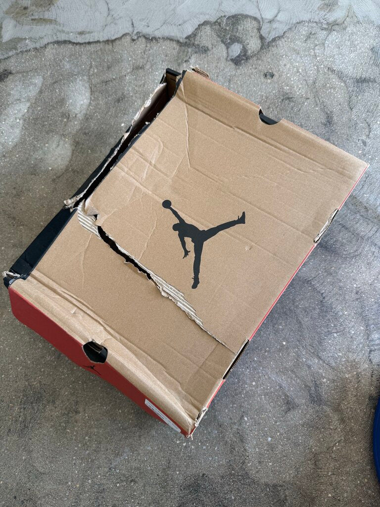 Jordan 12 Blueberry Sz. 10.5M