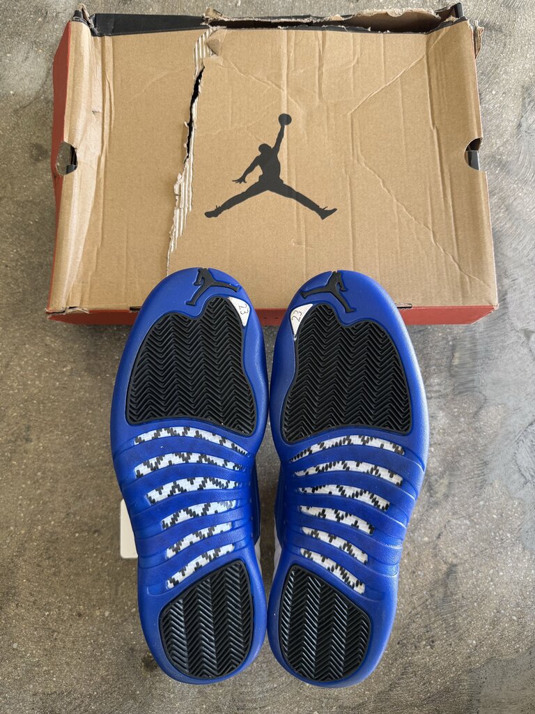 Jordan 12 Blueberry Sz. 10.5M