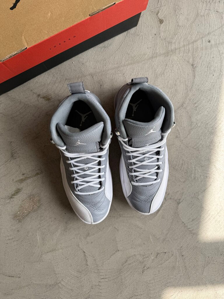 Jordan 12 Stealth Sz. 8.5