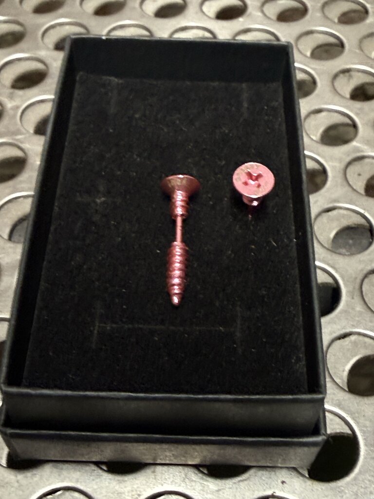 Greedy Unit Screw earring