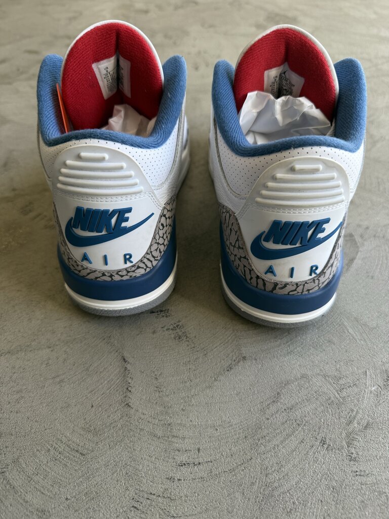 Air Jordan 3 Retro OG True Blue Sz 9