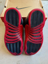 Jordan 12 Flu Game Sz. 11.5