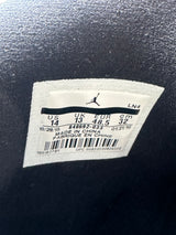 Jordan 12 Wings Sz.14