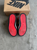 Jordan 1 Chili Red Sz. 10.5