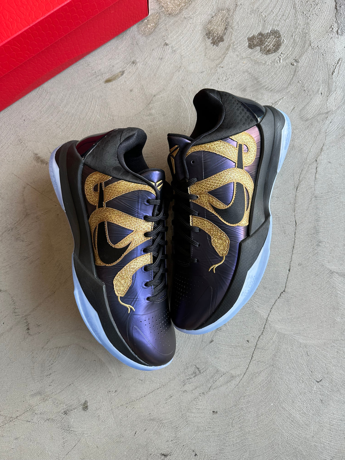 Kobe 5 Year of the Mamba Eggplant Sz. 11.5