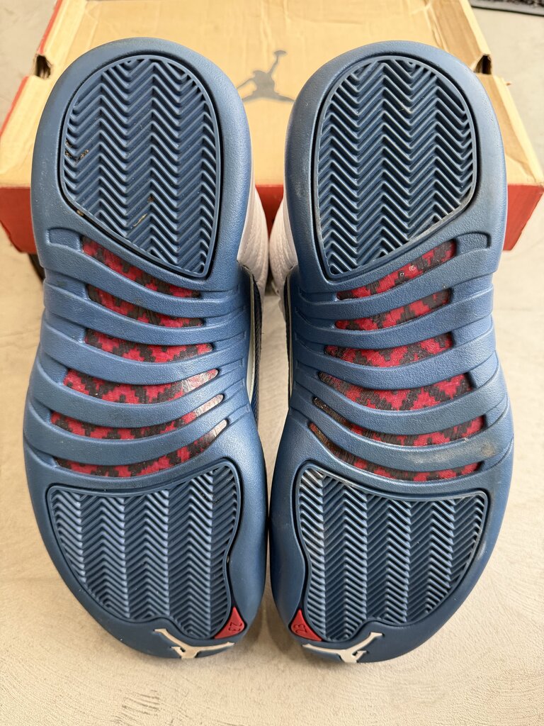 Jordan 12 French Blue Sz. 9.5