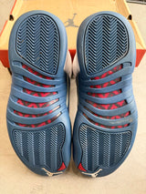 Jordan 12 French Blue Sz. 9.5