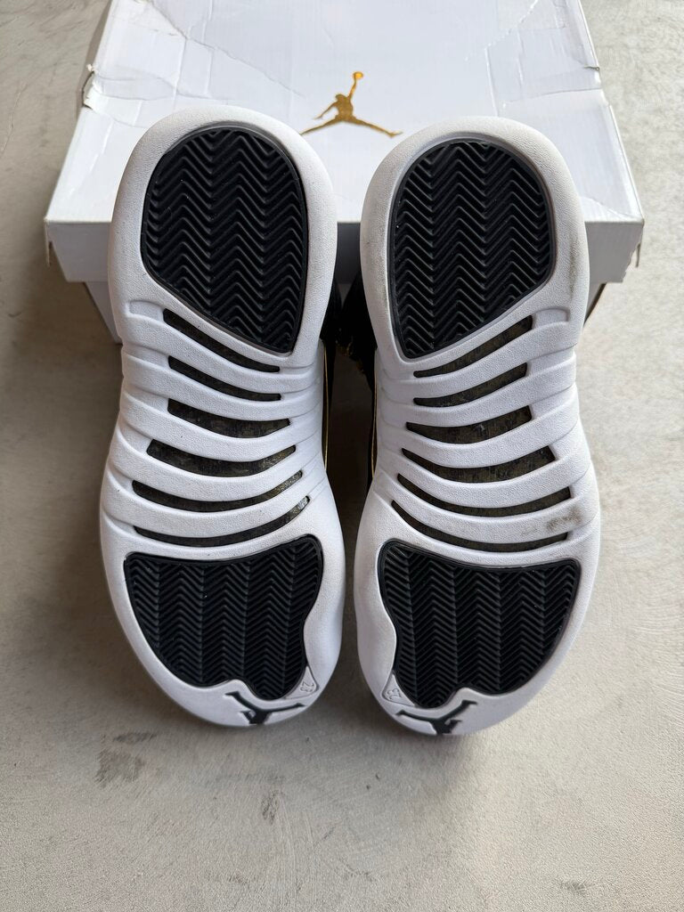 Jordan 12 Reptile Sz. 10.5W