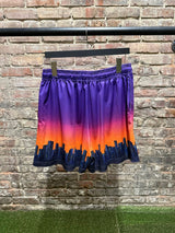 Warren Lotta x Eric Emmanuel NYC Reaper Mesh Shorts sz, XXL