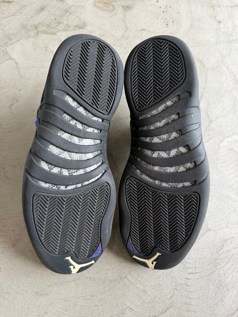 Jordan 12 Concord Sz. 12