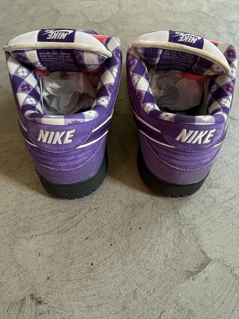 Nike SB Dunk Low Purple Lobster Sz. 8.5
