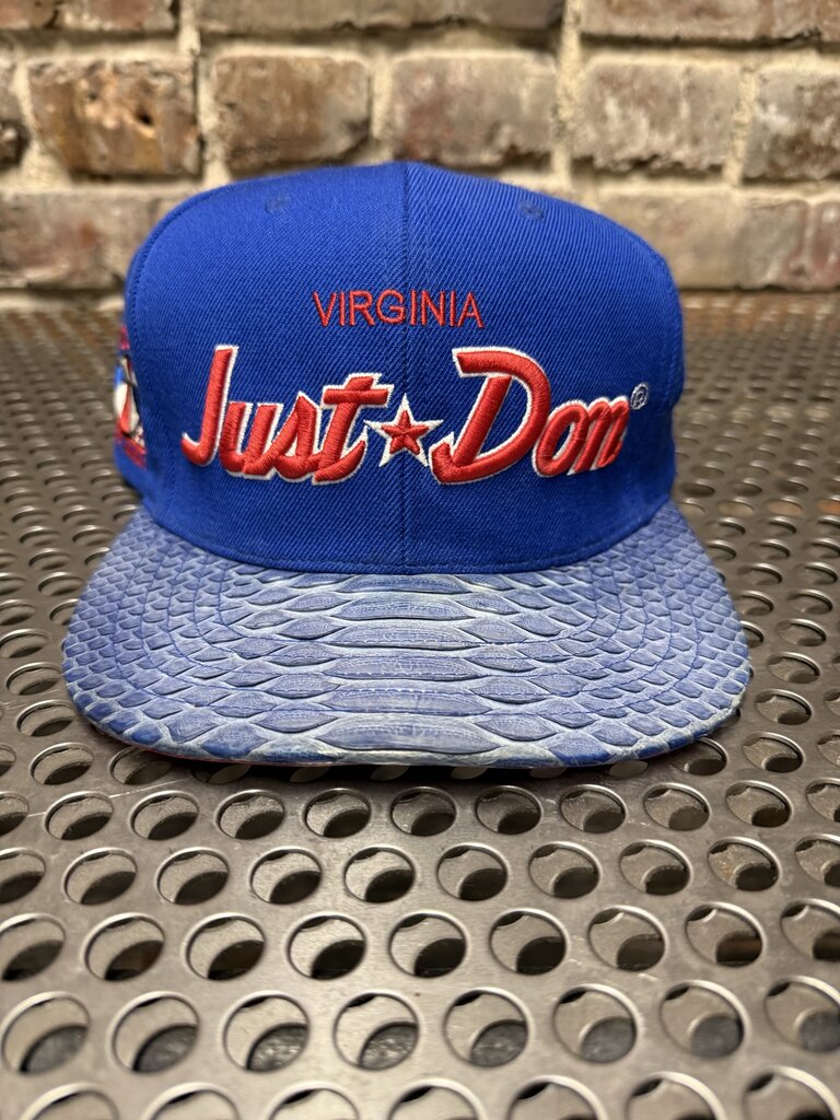Just * Don Virginia Blue Hat