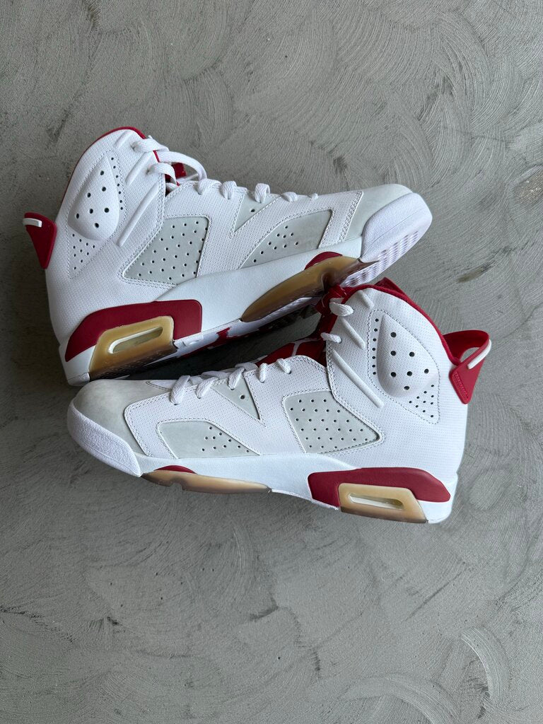 Jordan 6 Alternate sz. 11.5 (nb)