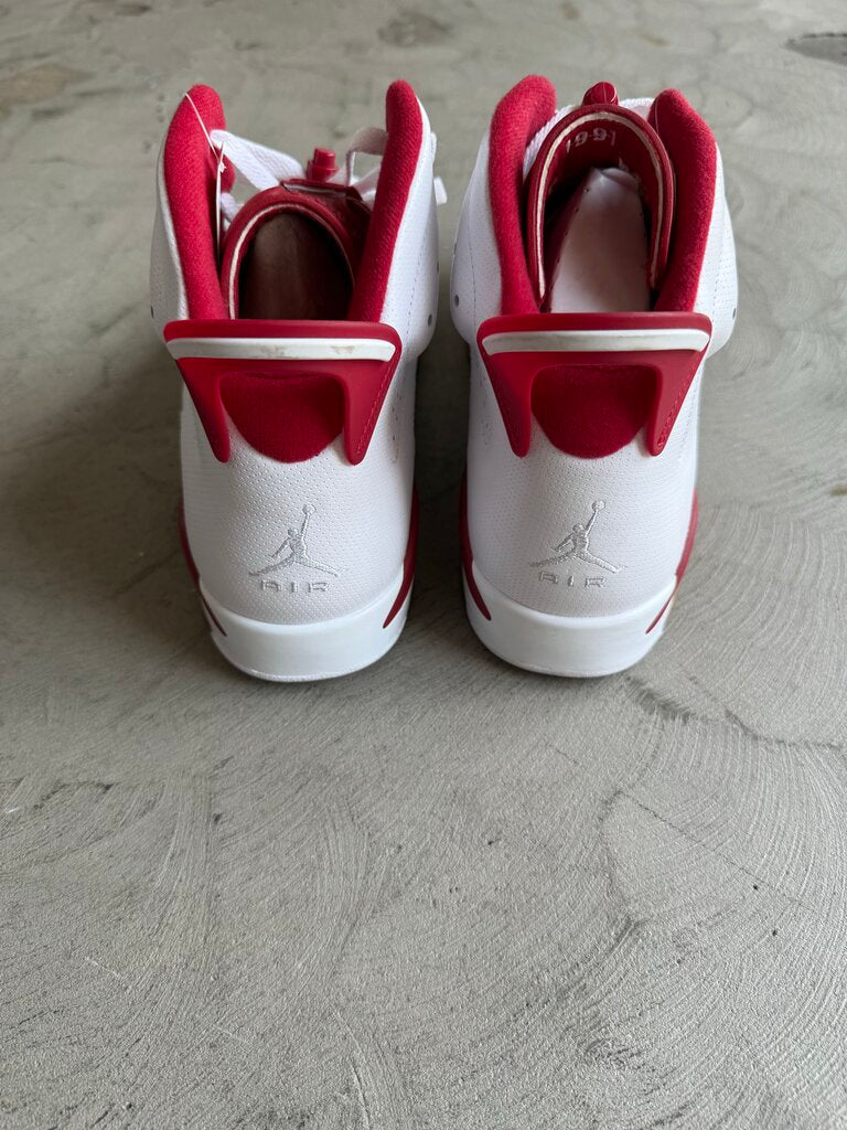 Jordan 6 Alternate sz. 11.5 (nb)
