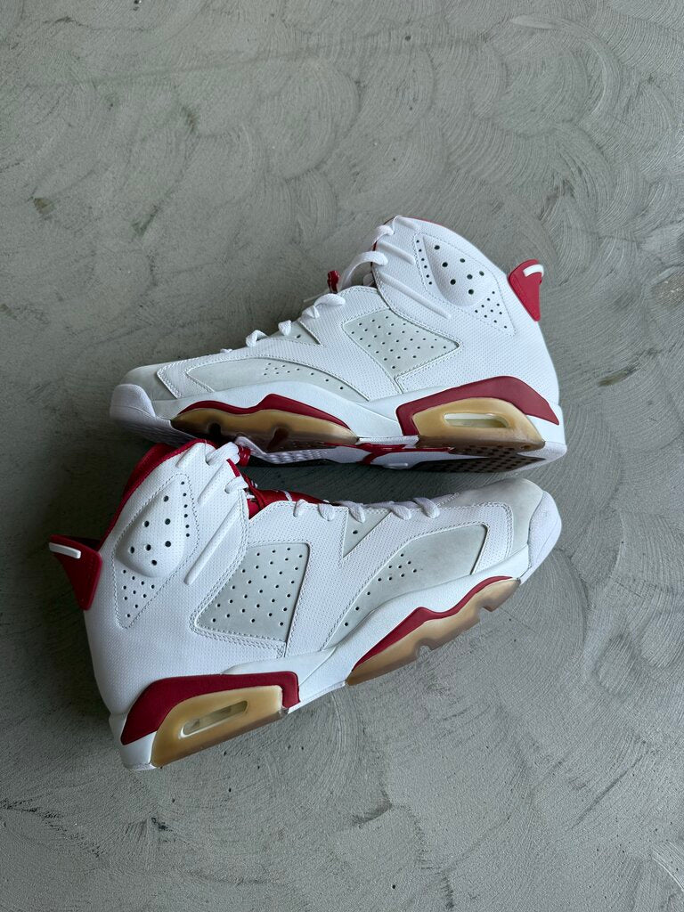 Jordan 6 Alternate sz. 11.5 (nb)