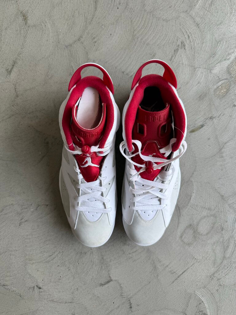 Jordan 6 Alternate sz. 11.5 (nb)