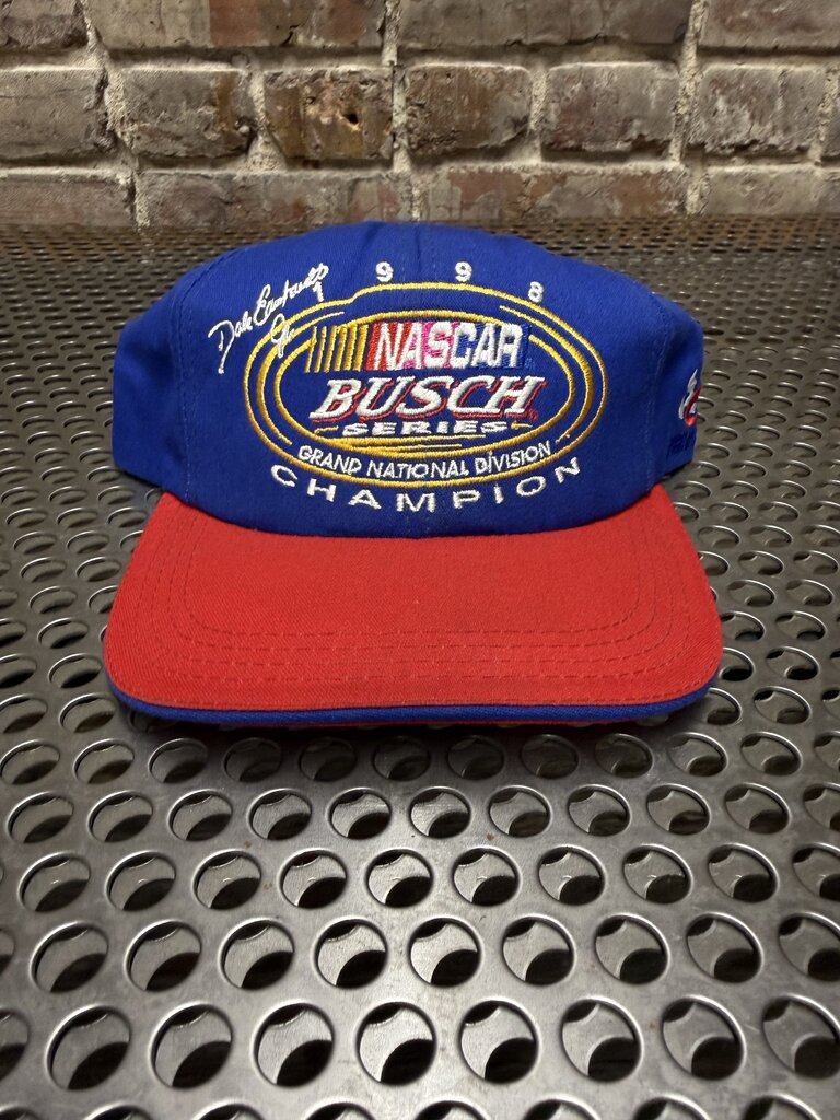 Vintage NASCAR Dale Earnhardt Jr. Busch Series Snapback