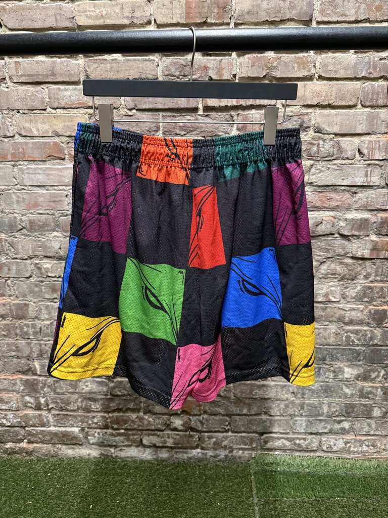 Matty Boy x Eric Emmanuel Mesh Shorts sz. XXL