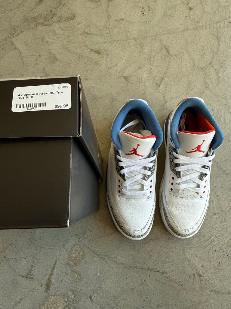 Air Jordan 3 Retro OG True Blue Sz 9
