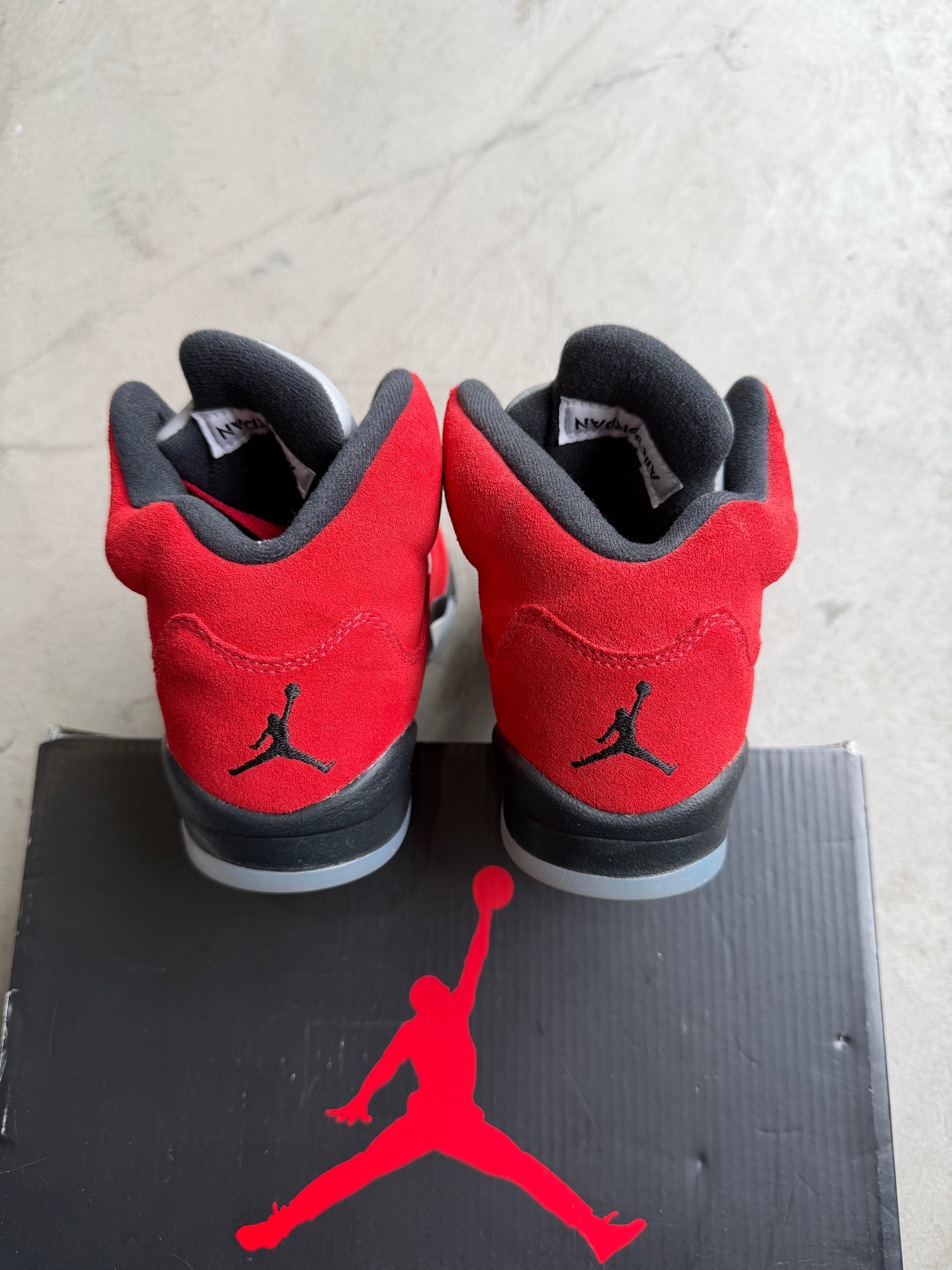 Jordan 6 Toro Sz. 4.5Y